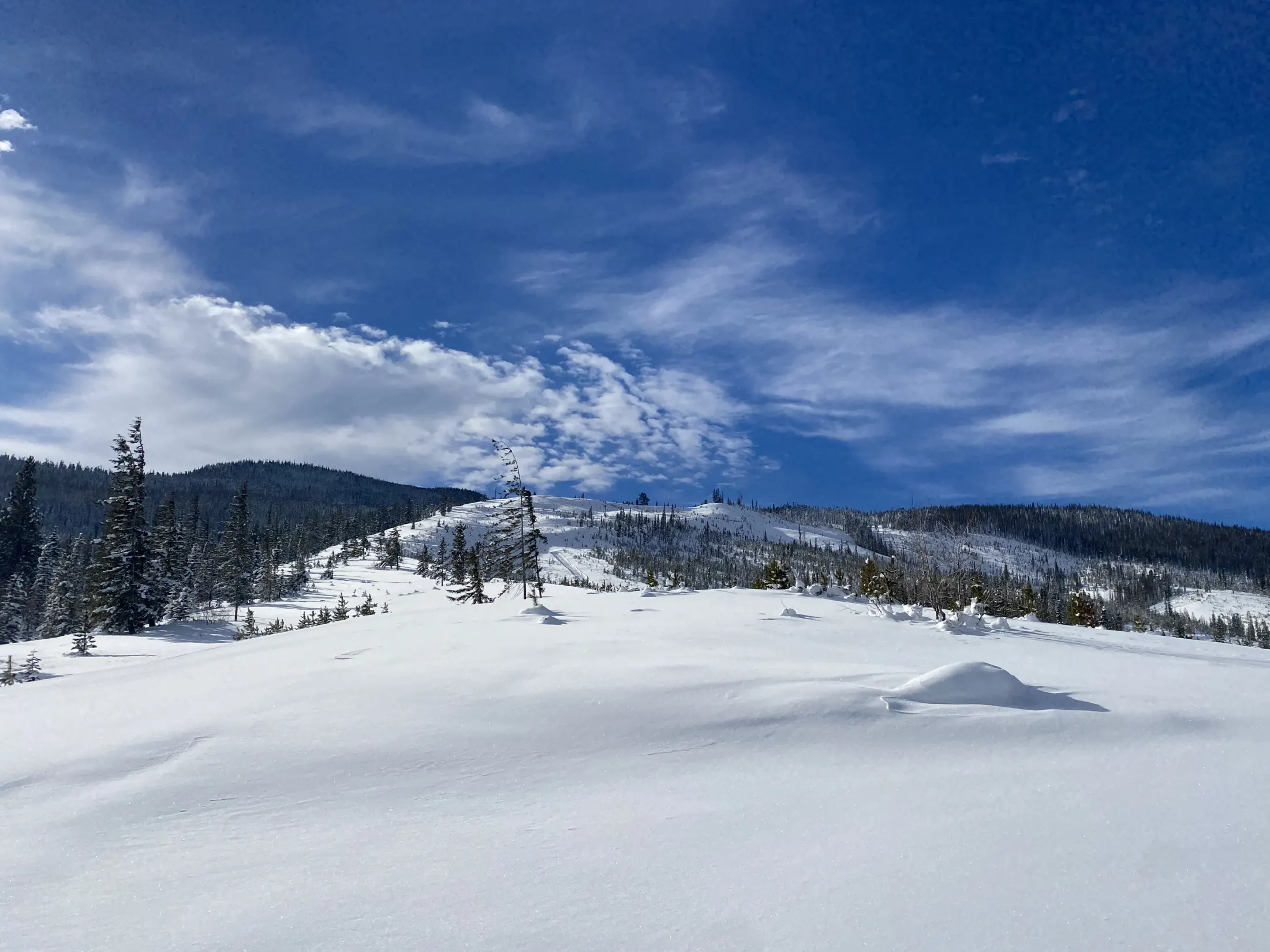 Bluebird sky over a fresh snowfield
