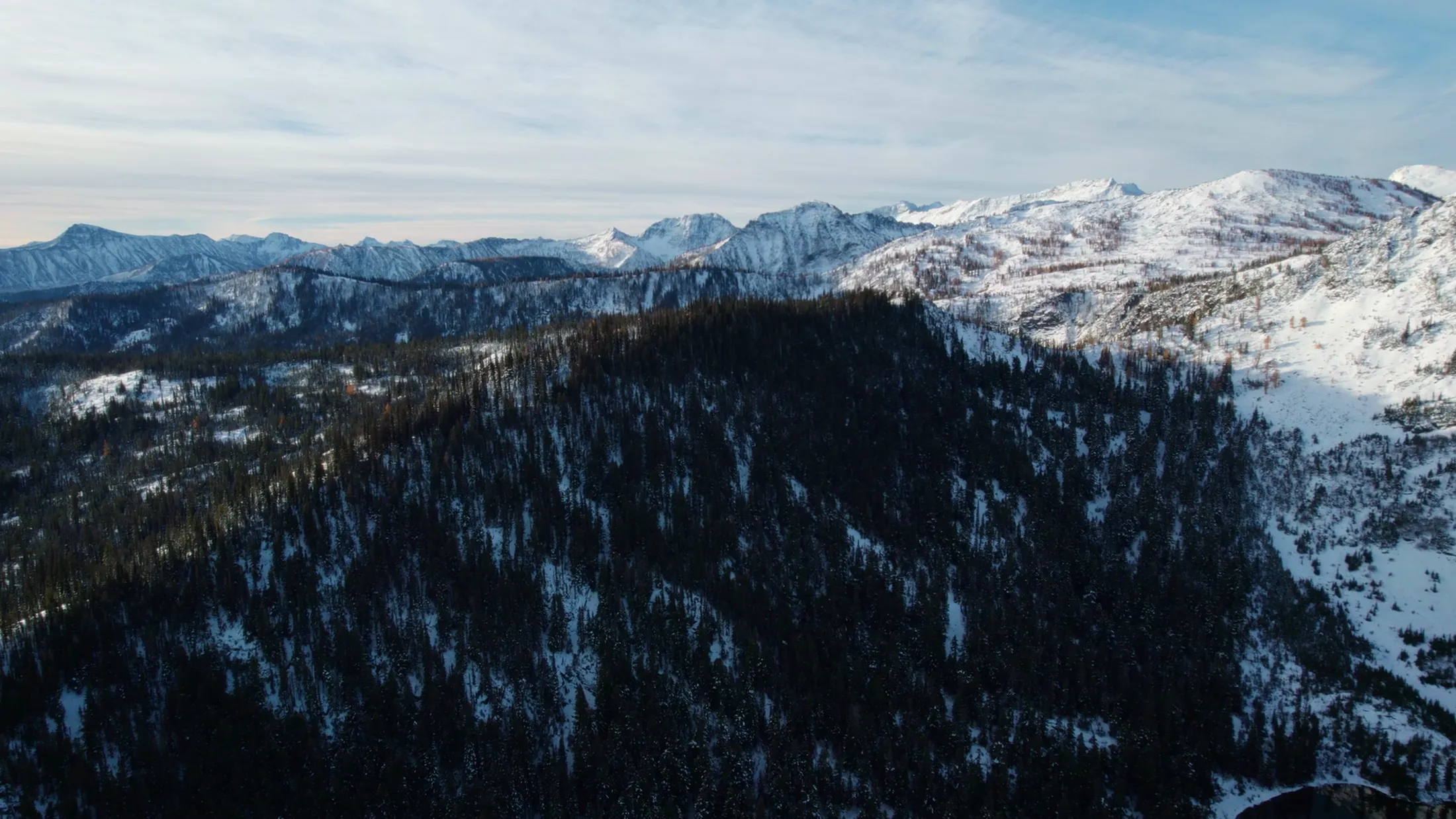 Aerial of snowcapped ridges over forest