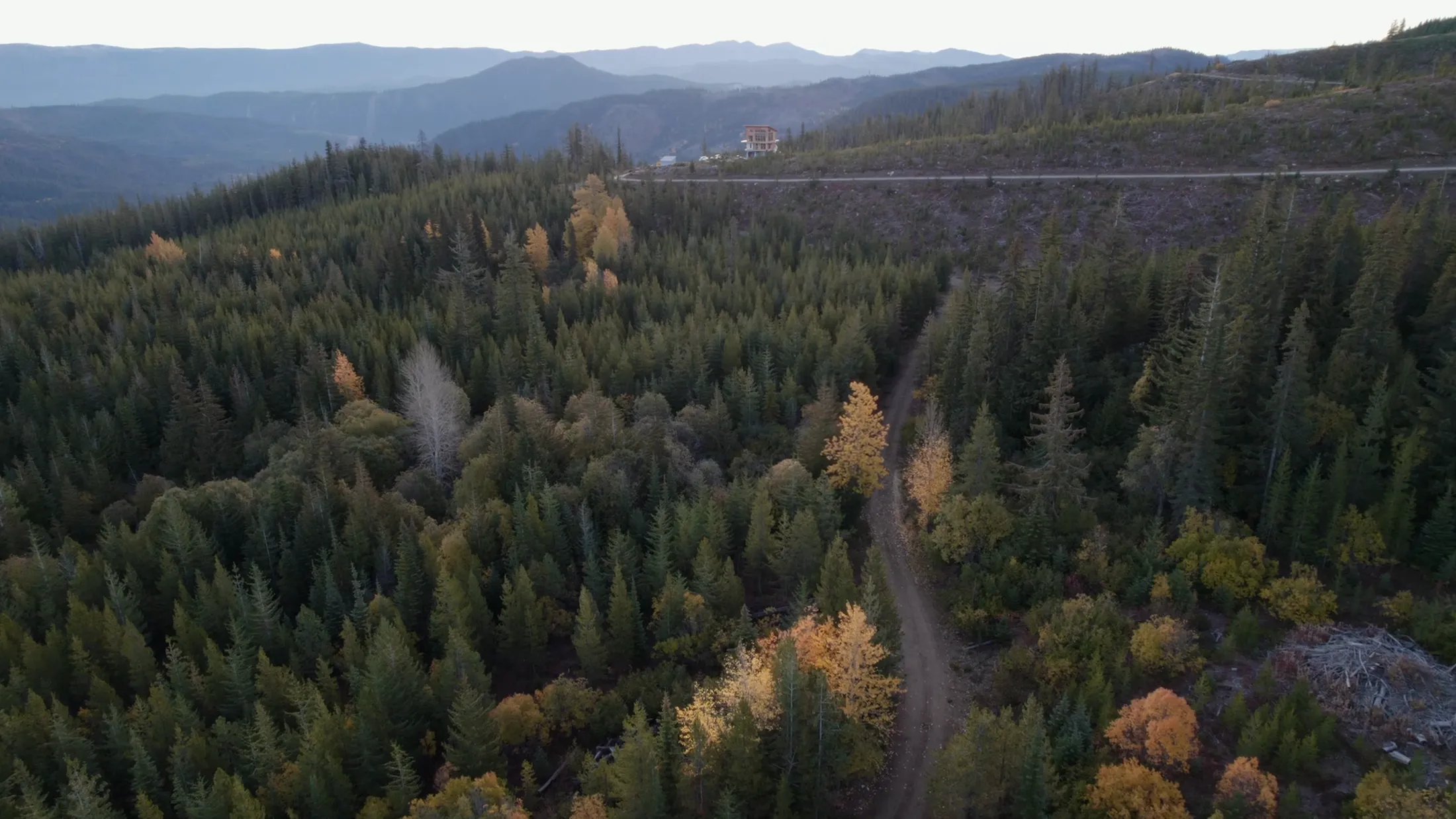 Aerial over forest toward distant ridges