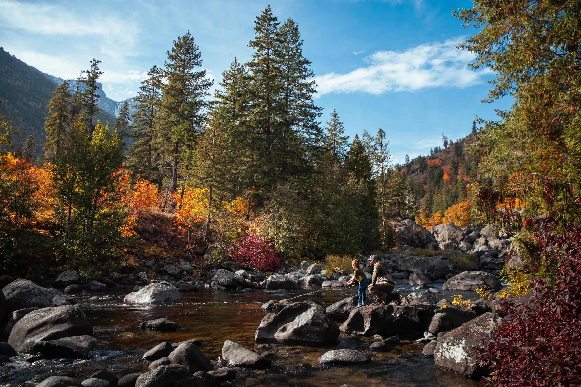 River running through autumn forest