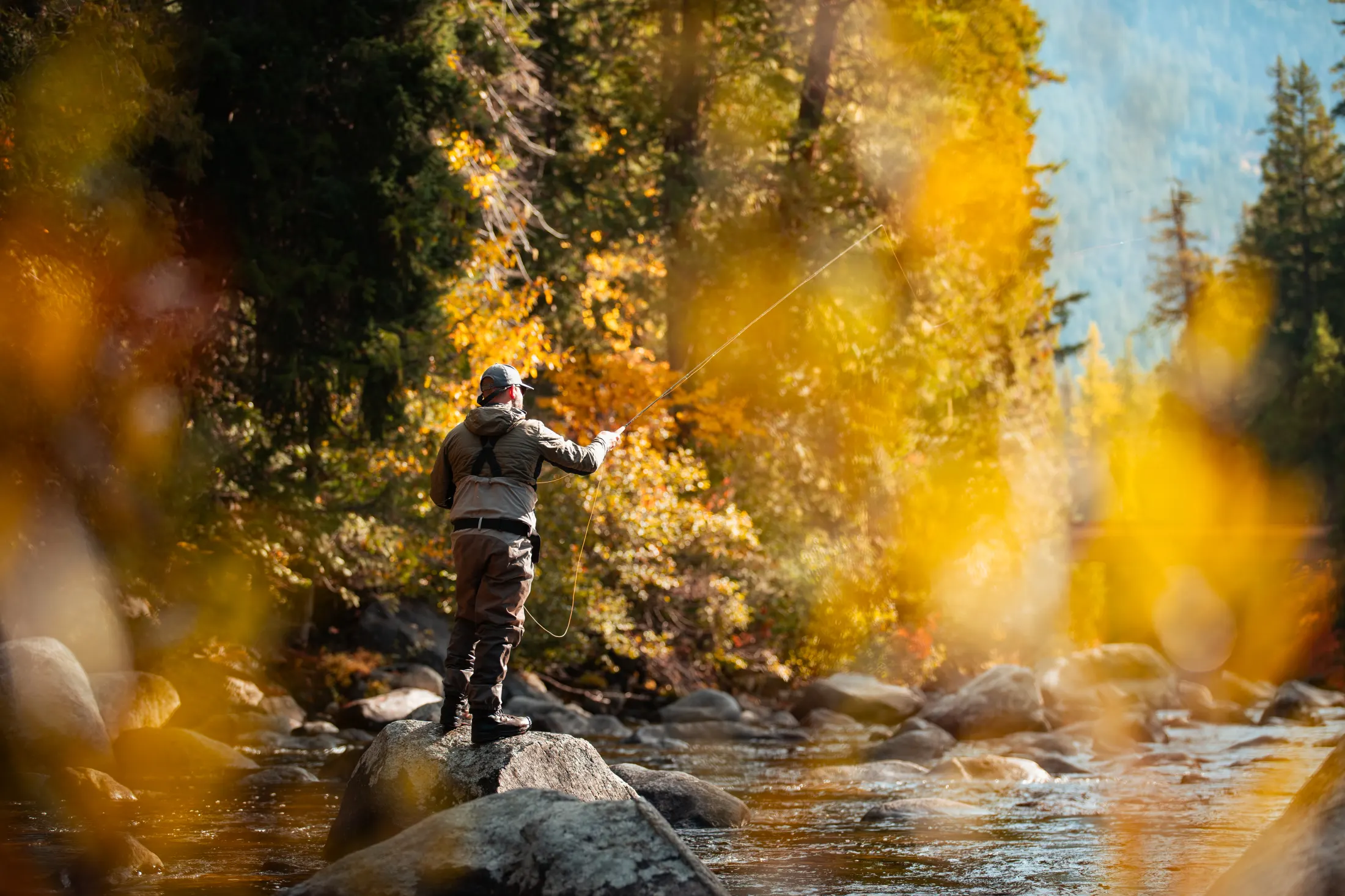 Angler in a sunlit stream with golden leaves
