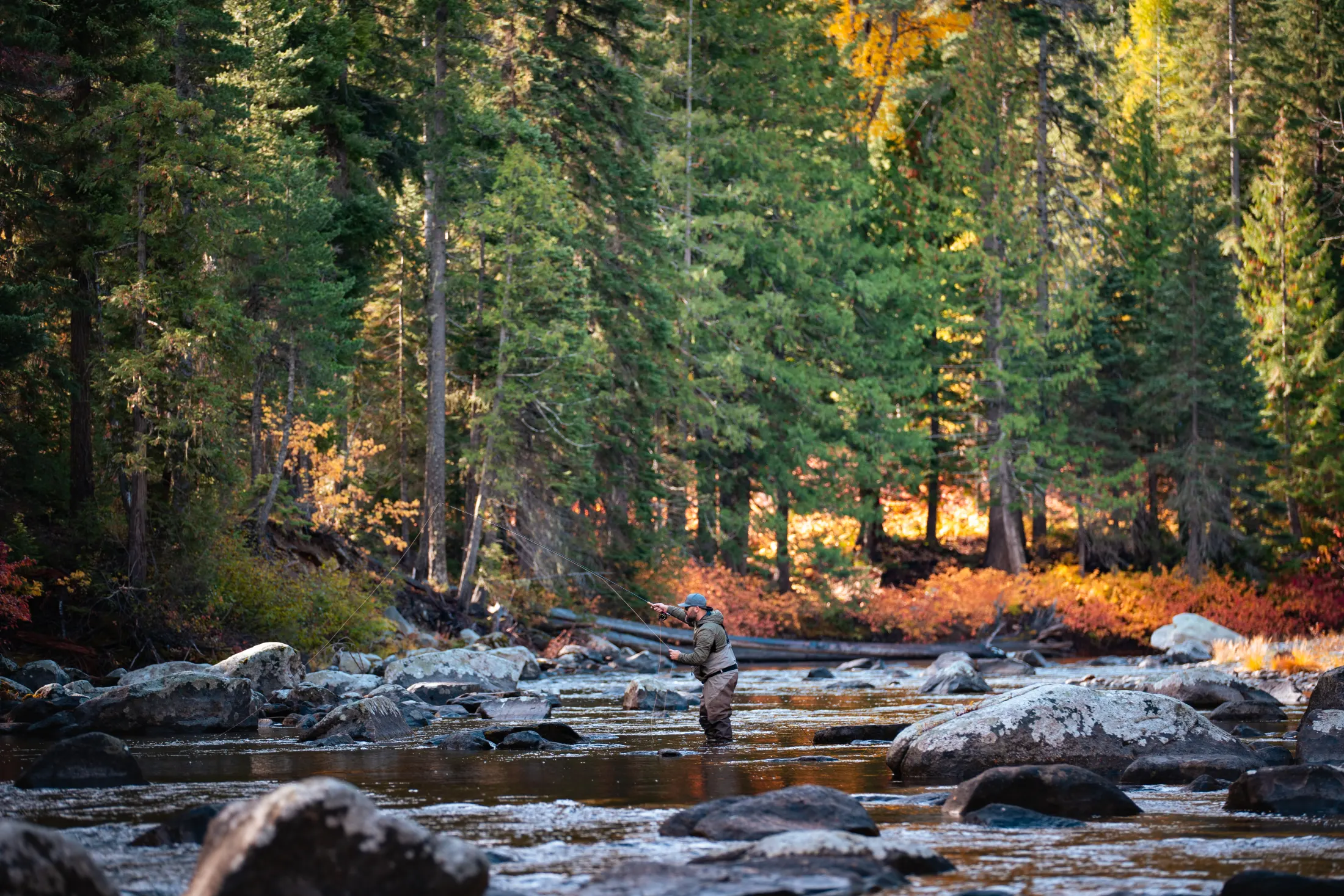 Mountain river winding through autumn forest