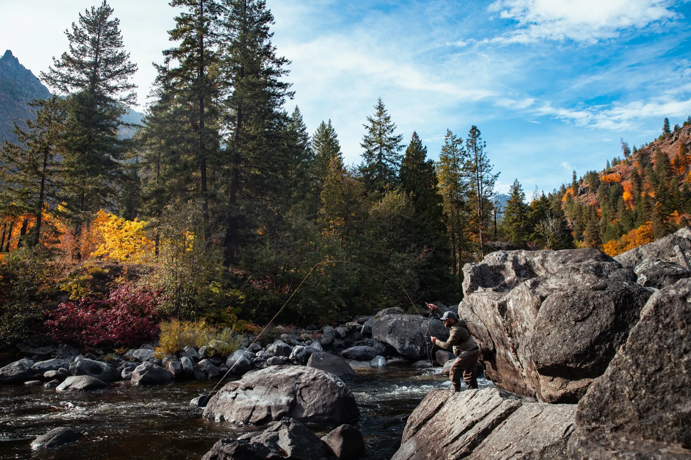 Mountain river under tall firs and a blue sky