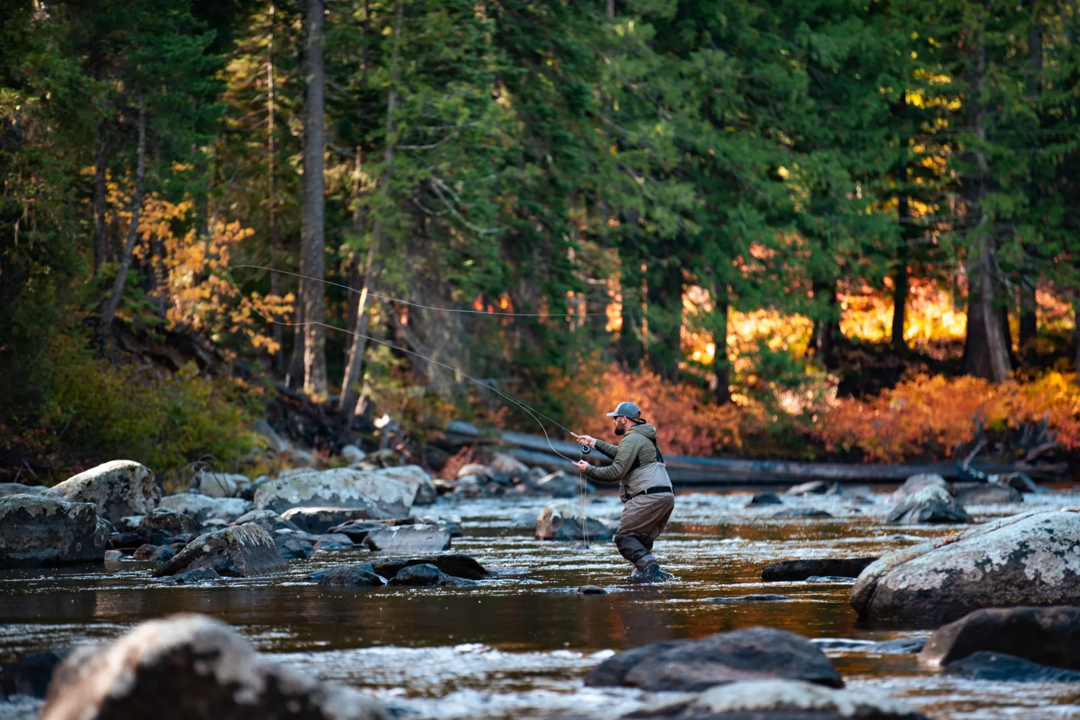 Angler wading a river below green firs