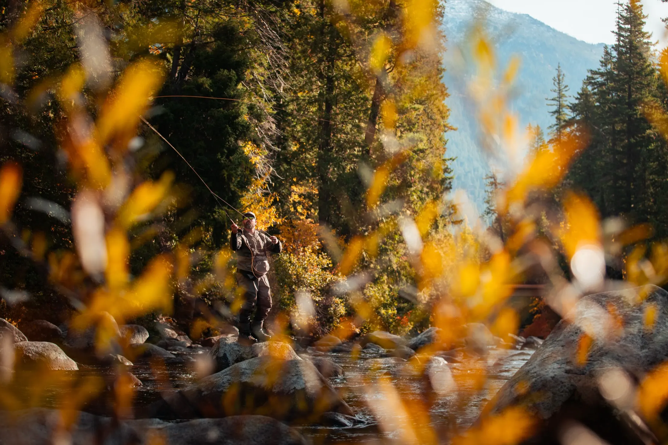 Angler framed by golden leaves
