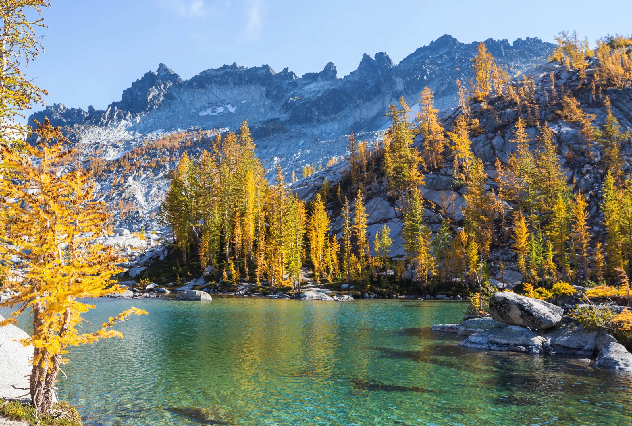 Golden larches around a turquoise alpine lake