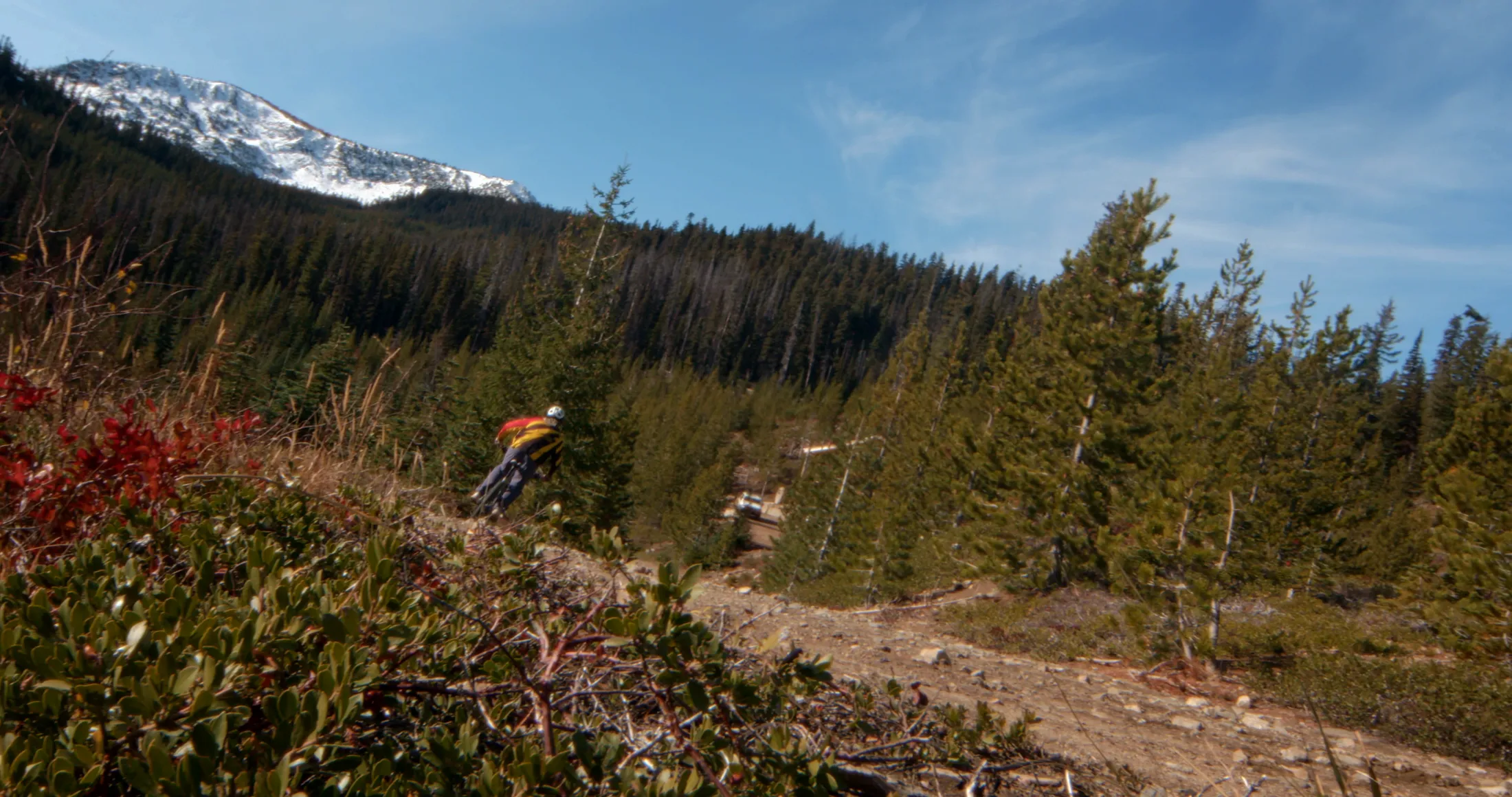 Mountain biker on a hillside below a snowy peak