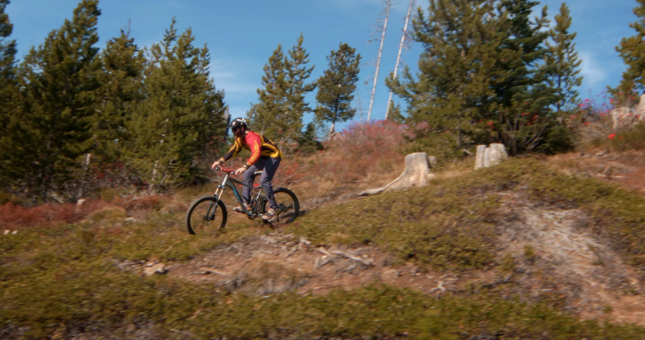Mountain biker riding a dirt trail on a sunny hillside