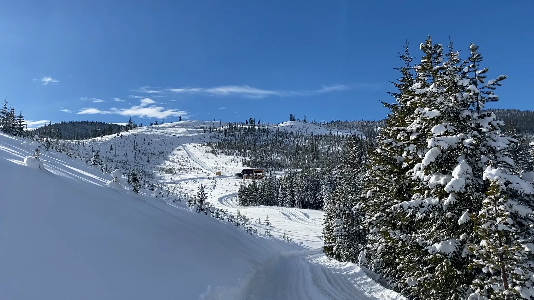 Snowy firs above a winding groomed road