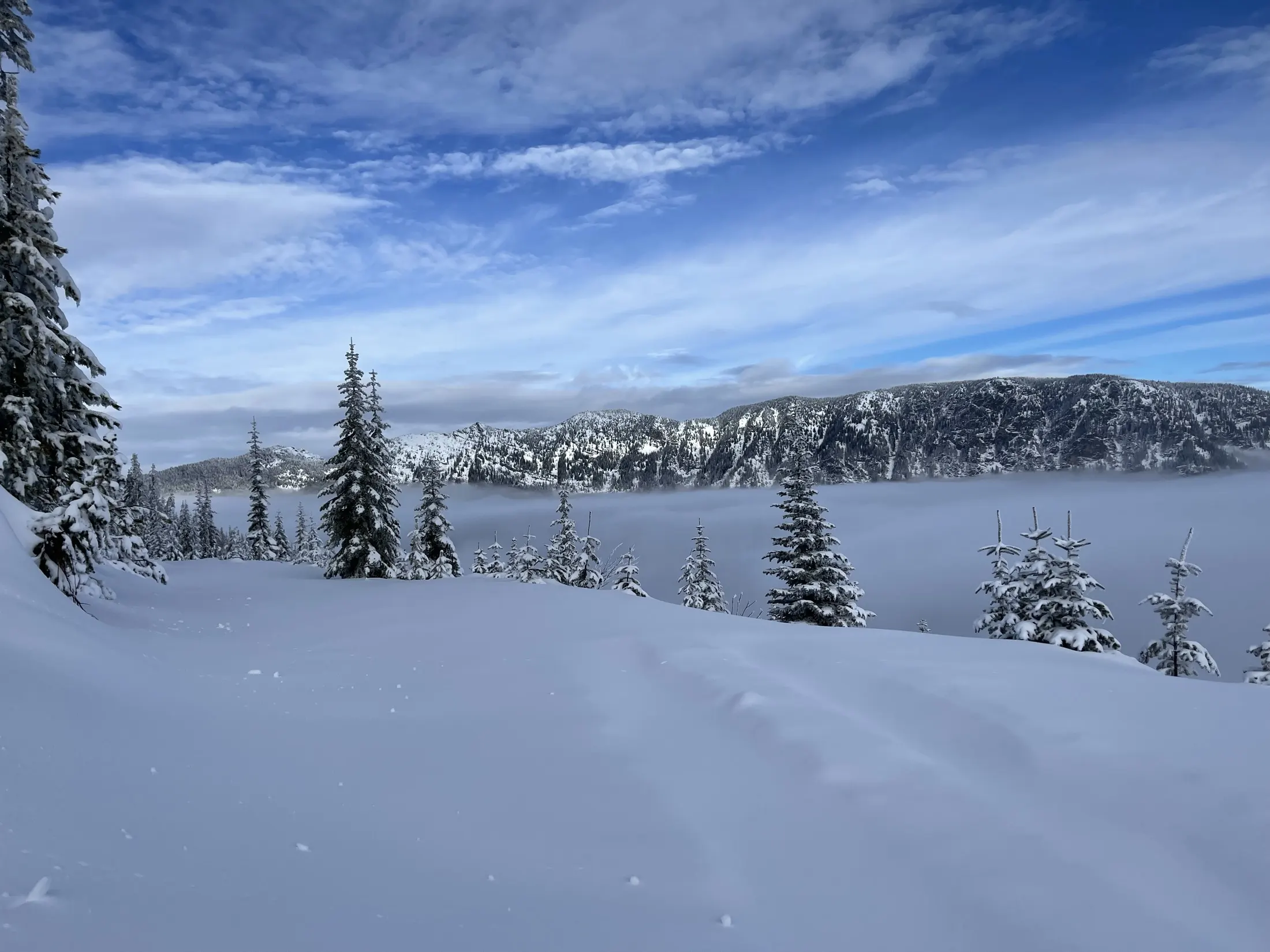 Lone fir above a cloud-filled valley
