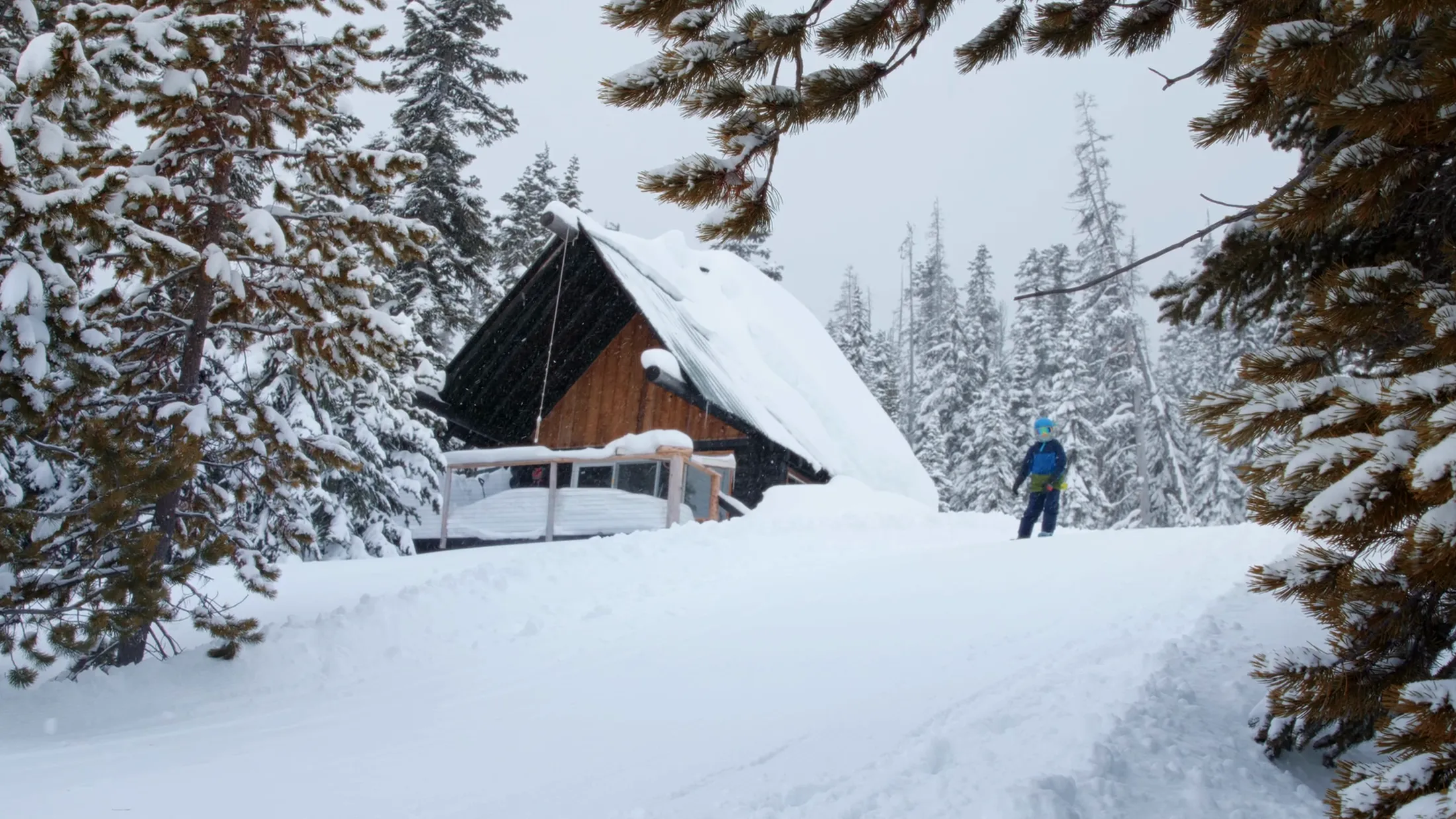 Snow-covered A-frame cabin among firs